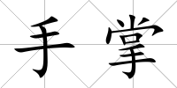 手掌