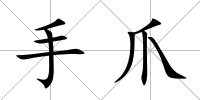 手爪