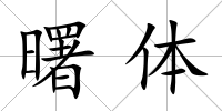 曙體