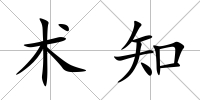 術(shù)知