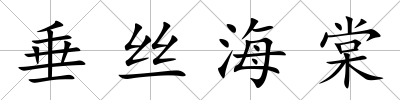 垂絲海棠