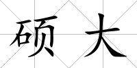 碩大