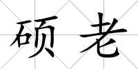 碩老