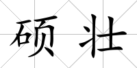 碩壯