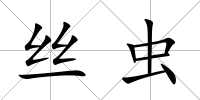 絲蟲(chóng)