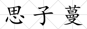 思子蔓