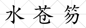 水蒼笏