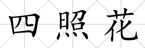 四照花