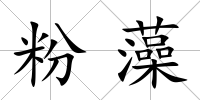 粉藻