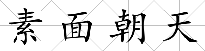 素面朝天