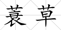 蓑草