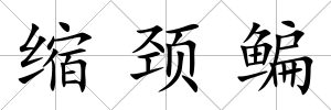 縮頸鳊