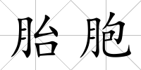 胎胞