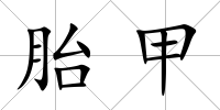 胎甲