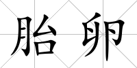胎卵