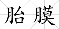 胎膜