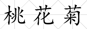 桃花菊