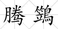 騰鷑