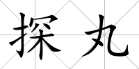 探丸
