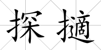 探擿