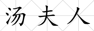 湯夫人