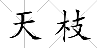 天枝