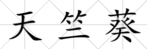 天竺葵