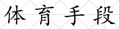 體育手段