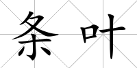 條葉