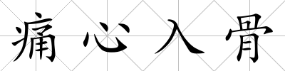 痛心入骨