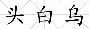 頭白烏