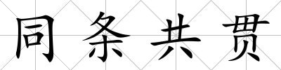 同條共貫