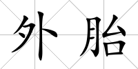 外胎