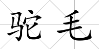 駝毛