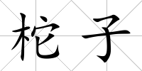 柁子