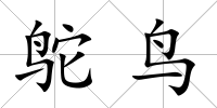 鴕鳥