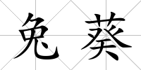 兔葵