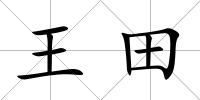 王田