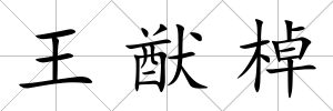 王猷棹