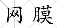 網膜