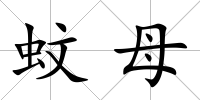 蚊母