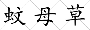 蚊母草