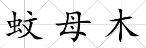 蚊母木