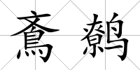 鴍鷯