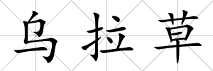 烏拉草