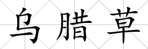 烏臘草