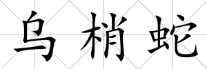 烏梢蛇