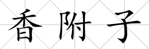 香附子