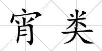 宵類