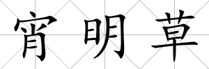 宵明草
